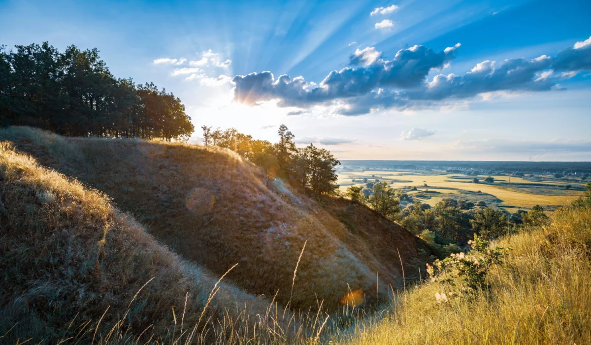 Najlepsze miejsca na imprezę we Wrocławiu: Gdzie bawić się najlepiej?
