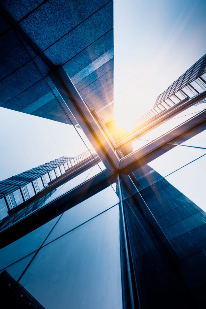 Świeże perspektywy nauczenia się dzięki innowacyjnemu portalowi edukacyjnemu