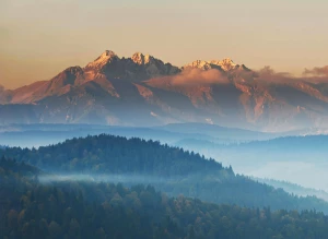 Jak wdrożyć BDO dla producenta komputerów: Kluczowe kroki i korzyści