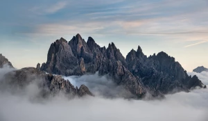 Jak Żelki CBD mogą być wartościowym dodatkiem do zdrowej diety