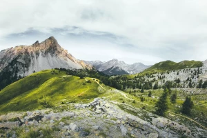 Budownictwo: na co zwrócić uwagę przy planowaniu i realizacji inwestycji