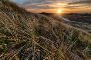 Klimatyzatory z funkcją grzania Pruszków – Komfort przez cały rok w Twoim domu