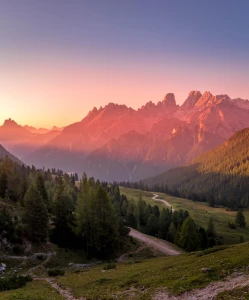 8 powodów, dla których shoty konopne są świetne dla rozrywki